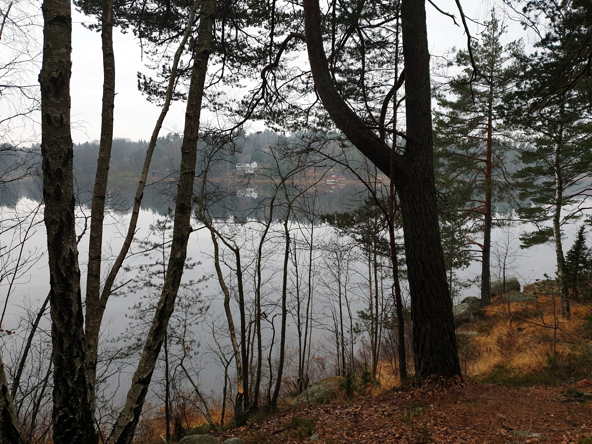 The River